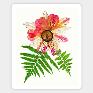 Pink Alstroemeria Pressed Flower Art Print Dried Flowers Poster Gift For Women Sticker